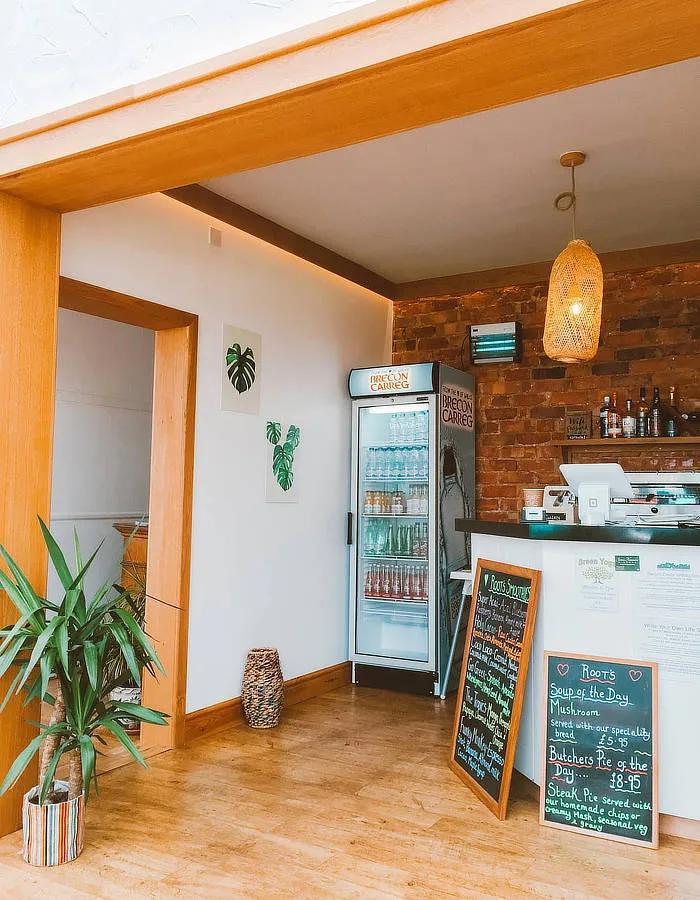 Local SEO services by iSeed Digital - Chicago IL