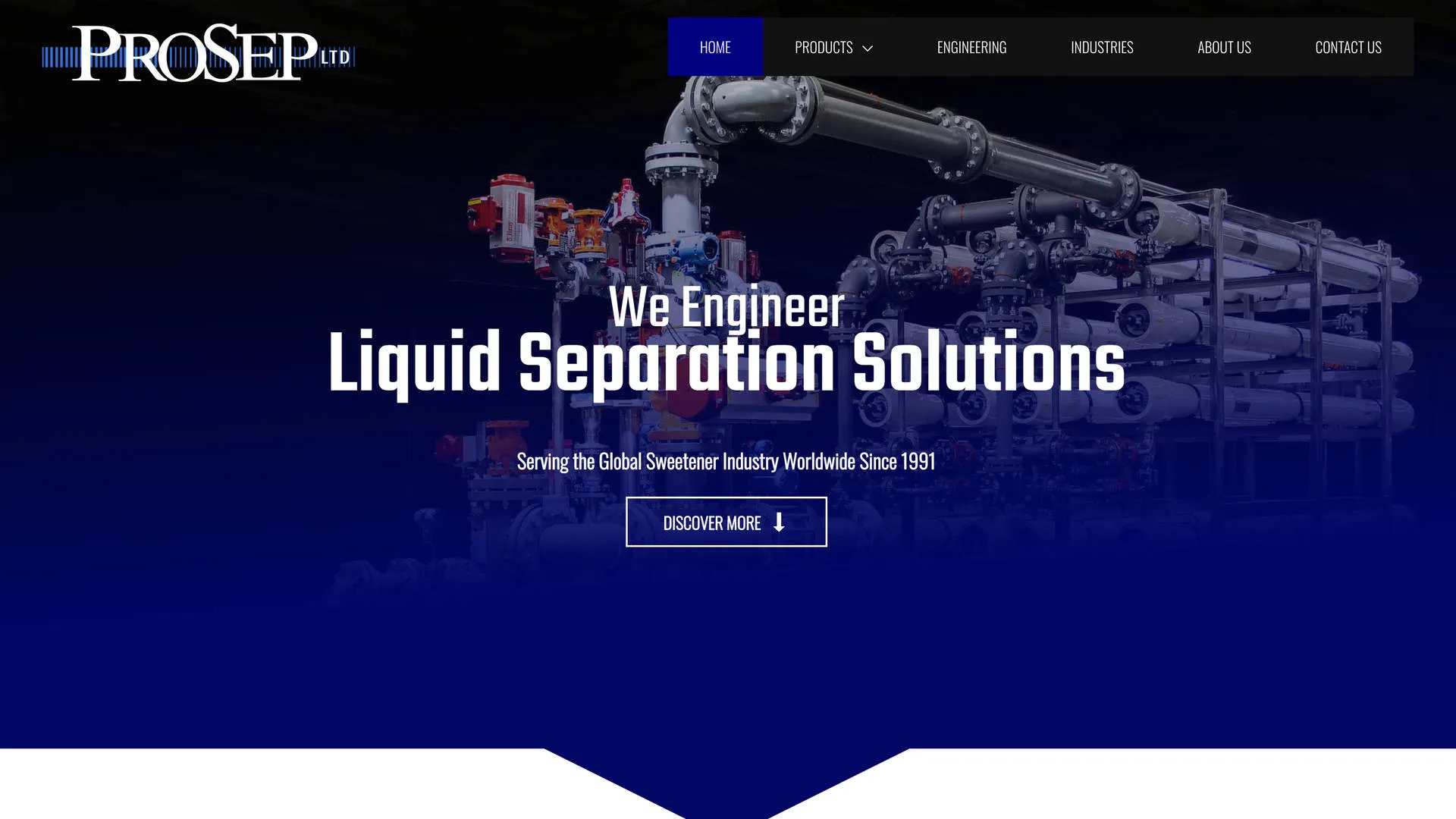 Business Website Designer